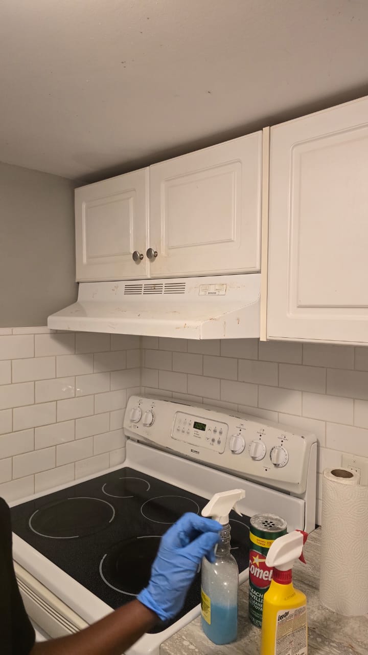 kitchen cleaning in hamilton