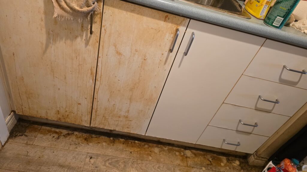 cleaning service in my Area