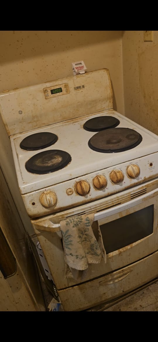 cleaning service in my area